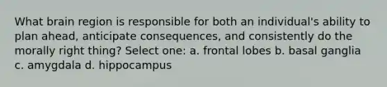 What brain region is responsible for both an individual's ability to plan ahead, anticipate consequences, and consistently do the morally right thing? Select one: a. frontal lobes b. basal ganglia c. amygdala d. hippocampus