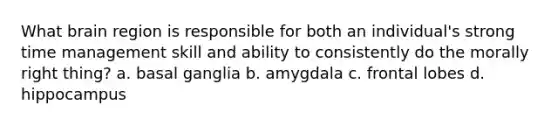 What brain region is responsible for both an individual's strong time management skill and ability to consistently do the morally right thing? a. basal ganglia b. amygdala c. frontal lobes d. hippocampus