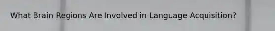 What Brain Regions Are Involved in Language Acquisition?
