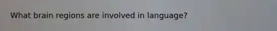What brain regions are involved in language?