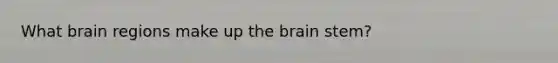 What brain regions make up the brain stem?