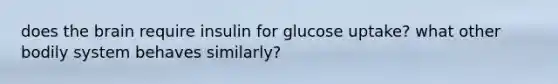 does the brain require insulin for glucose uptake? what other bodily system behaves similarly?