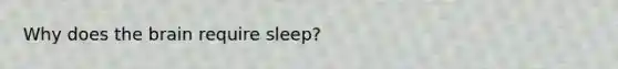 Why does the brain require sleep?