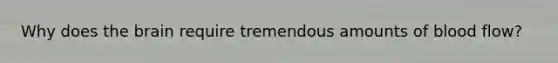 Why does <a href='https://www.questionai.com/knowledge/kLMtJeqKp6-the-brain' class='anchor-knowledge'>the brain</a> require tremendous amounts of blood flow?