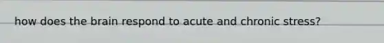 how does the brain respond to acute and chronic stress?