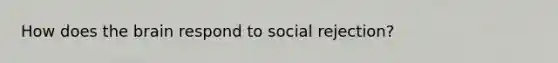 How does <a href='https://www.questionai.com/knowledge/kLMtJeqKp6-the-brain' class='anchor-knowledge'>the brain</a> respond to social rejection?