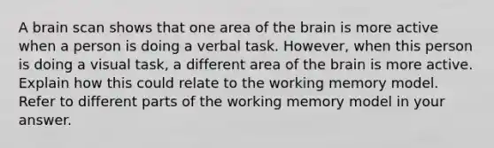 A brain scan shows that one area of the brain is more active when a person is doing a verbal task. However, when this person is doing a visual task, a different area of the brain is more active. Explain how this could relate to the working memory model. Refer to different parts of the working memory model in your answer.