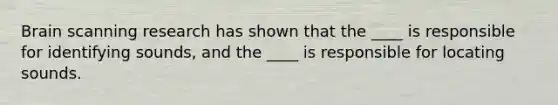 Brain scanning research has shown that the ____ is responsible for identifying sounds, and the ____ is responsible for locating sounds.