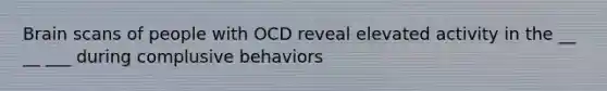 Brain scans of people with OCD reveal elevated activity in the __ __ ___ during complusive behaviors