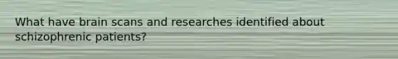 What have brain scans and researches identified about schizophrenic patients?