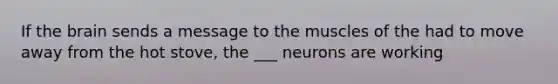 If the brain sends a message to the muscles of the had to move away from the hot stove, the ___ neurons are working