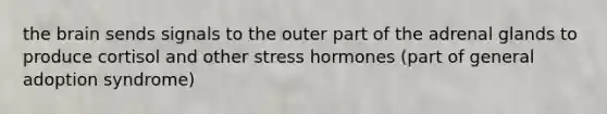 the brain sends signals to the outer part of the adrenal glands to produce cortisol and other stress hormones (part of general adoption syndrome)