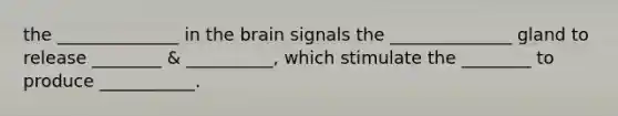 the ______________ in the brain signals the ______________ gland to release ________ & __________, which stimulate the ________ to produce ___________.