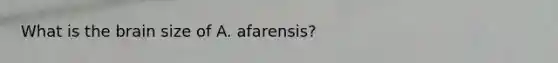 What is the brain size of A. afarensis?