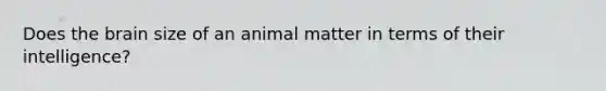 Does the brain size of an animal matter in terms of their intelligence?