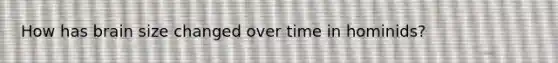 How has brain size changed over time in hominids?