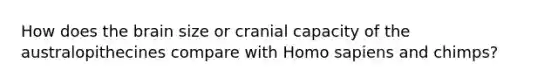 How does the brain size or cranial capacity of the australopithecines compare with Homo sapiens and chimps?