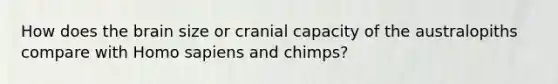 How does the brain size or cranial capacity of the australopiths compare with Homo sapiens and chimps?