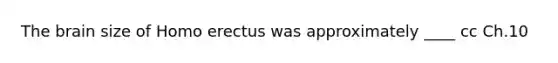 The brain size of Homo erectus was approximately ____ cc Ch.10