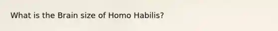 What is the Brain size of Homo Habilis?