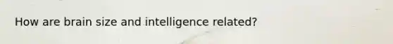 How are brain size and intelligence related?