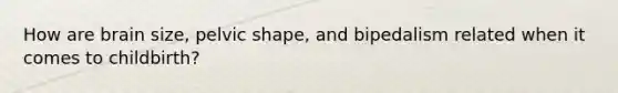How are brain size, pelvic shape, and bipedalism related when it comes to childbirth?