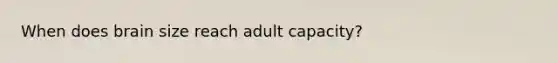 When does brain size reach adult capacity?