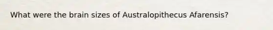 What were the brain sizes of Australopithecus Afarensis?