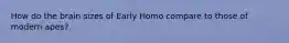 How do the brain sizes of Early Homo compare to those of modern apes?