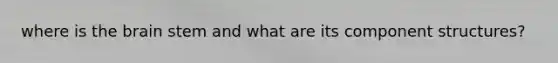 where is <a href='https://www.questionai.com/knowledge/kLMtJeqKp6-the-brain' class='anchor-knowledge'>the brain</a> stem and what are its component structures?