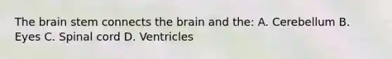 The brain stem connects the brain and the: A. Cerebellum B. Eyes C. Spinal cord D. Ventricles