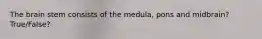 The brain stem consists of the medula, pons and midbrain? True/False?