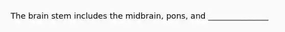 The brain stem includes the midbrain, pons, and _______________