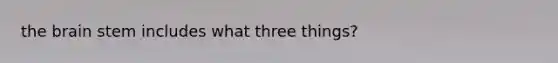 the brain stem includes what three things?