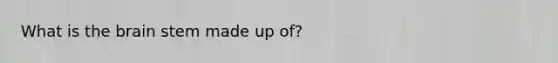 What is <a href='https://www.questionai.com/knowledge/kLMtJeqKp6-the-brain' class='anchor-knowledge'>the brain</a> stem made up of?