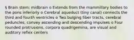 § Brain stem: midbrain o Extends from the mammillary bodies to the pons inferiorly o Cerebral aqueduct (tiny canal) connects the third and fourth ventricles o Two bulging fiber tracts, cerebral peduncles, convey ascending and descending impulses o Four rounded protrusions, corpora quadrigemina, are visual and auditory reflex centers