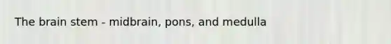 The brain stem - midbrain, pons, and medulla