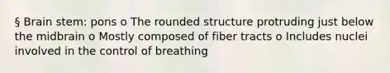 § Brain stem: pons o The rounded structure protruding just below the midbrain o Mostly composed of fiber tracts o Includes nuclei involved in the control of breathing