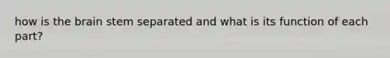 how is the brain stem separated and what is its function of each part?