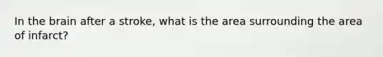 In the brain after a stroke, what is the area surrounding the area of infarct?