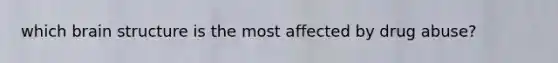 which brain structure is the most affected by drug abuse?