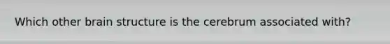 Which other brain structure is the cerebrum associated with?