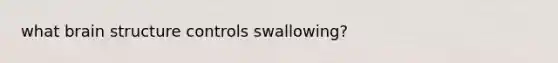 what brain structure controls swallowing?