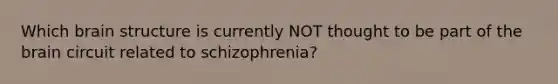 Which brain structure is currently NOT thought to be part of the brain circuit related to schizophrenia?