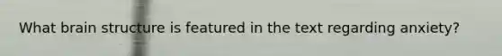 What brain structure is featured in the text regarding anxiety?