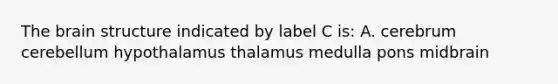 The brain structure indicated by label C is: A. cerebrum cerebellum hypothalamus thalamus medulla pons midbrain