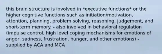 this brain structure is involved in *executive functions* or the higher cognitive functions such as initiation/motivation, attention, planning, problem solving, reasoning, judgement, and short-term memory. - also involved in behavioral regulation (impulse control, high level coping mechanisms for emotions of anger, sadness, frustration, hunger, and other emotions) - supplied by ACA and MCA