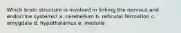 Which brain structure is involved in linking the nervous and endocrine systems? a. cerebellum b. reticular formation c. amygdala d. hypothalamus e. medulla