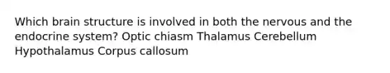 Which brain structure is involved in both the nervous and the <a href='https://www.questionai.com/knowledge/k97r8ZsIZg-endocrine-system' class='anchor-knowledge'>endocrine system</a>? Optic chiasm Thalamus Cerebellum Hypothalamus Corpus callosum