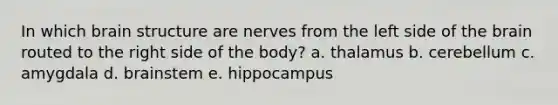 In which brain structure are nerves from the left side of the brain routed to the right side of the body? a. thalamus b. cerebellum c. amygdala d. brainstem e. hippocampus